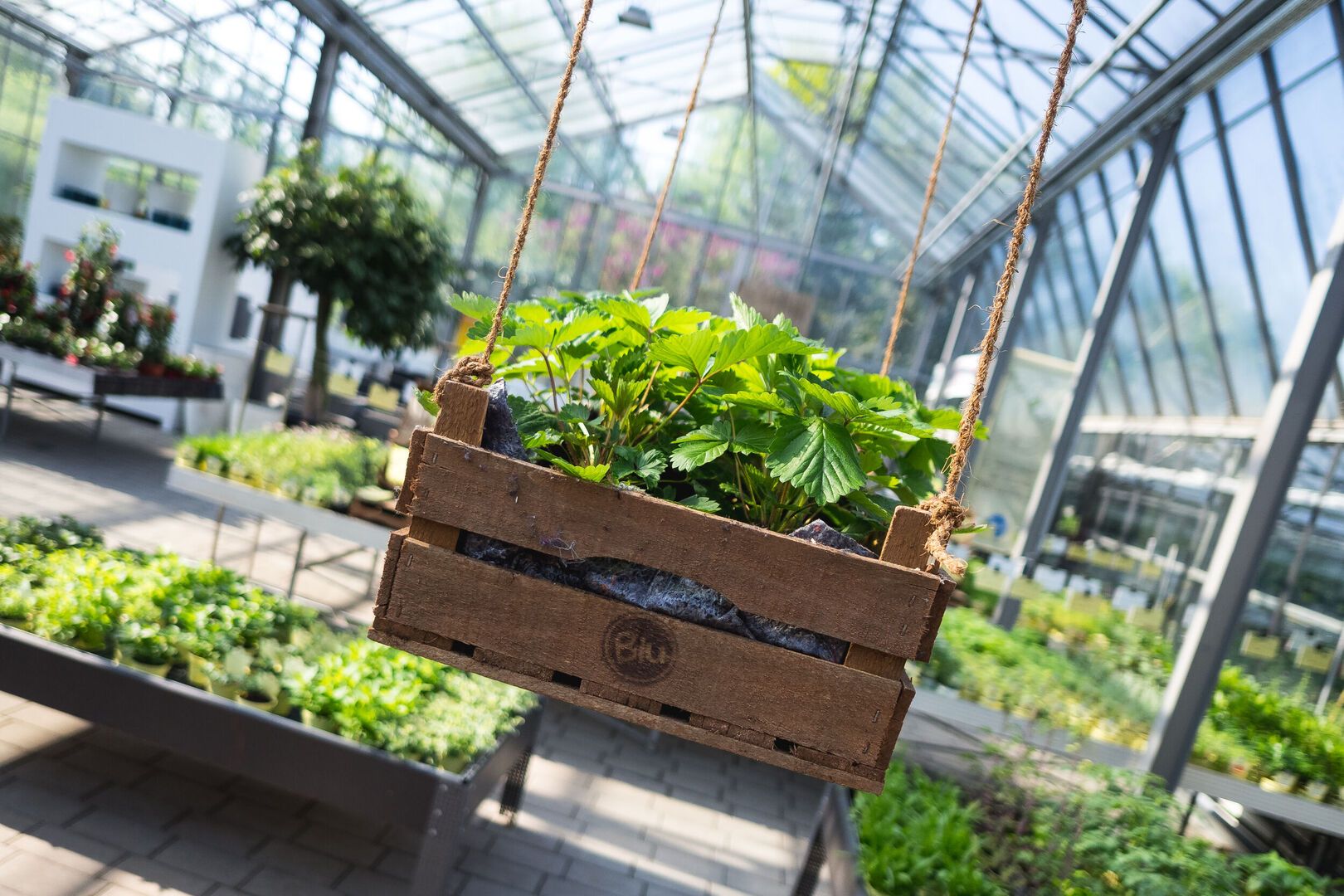 Gemüse und Kräuter